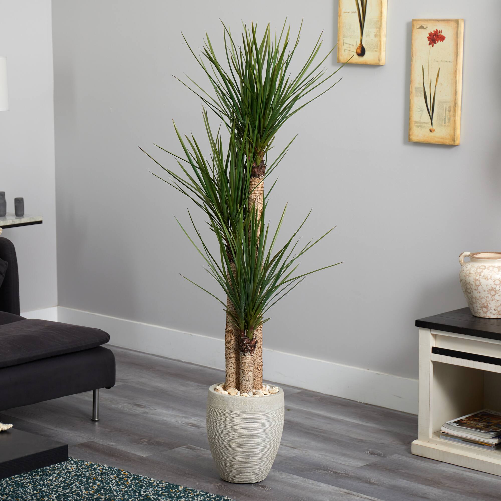 5ft. Yucca Tree In Sand Colored Planter